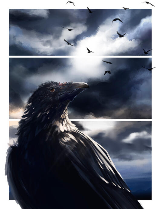 Color Page